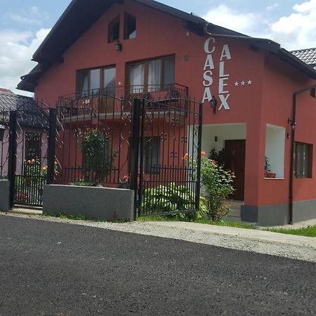 Vila Alex Otel Călimăneşti Dış mekan fotoğraf