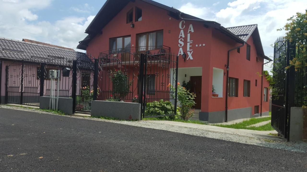 Vila Alex Otel Călimăneşti Dış mekan fotoğraf