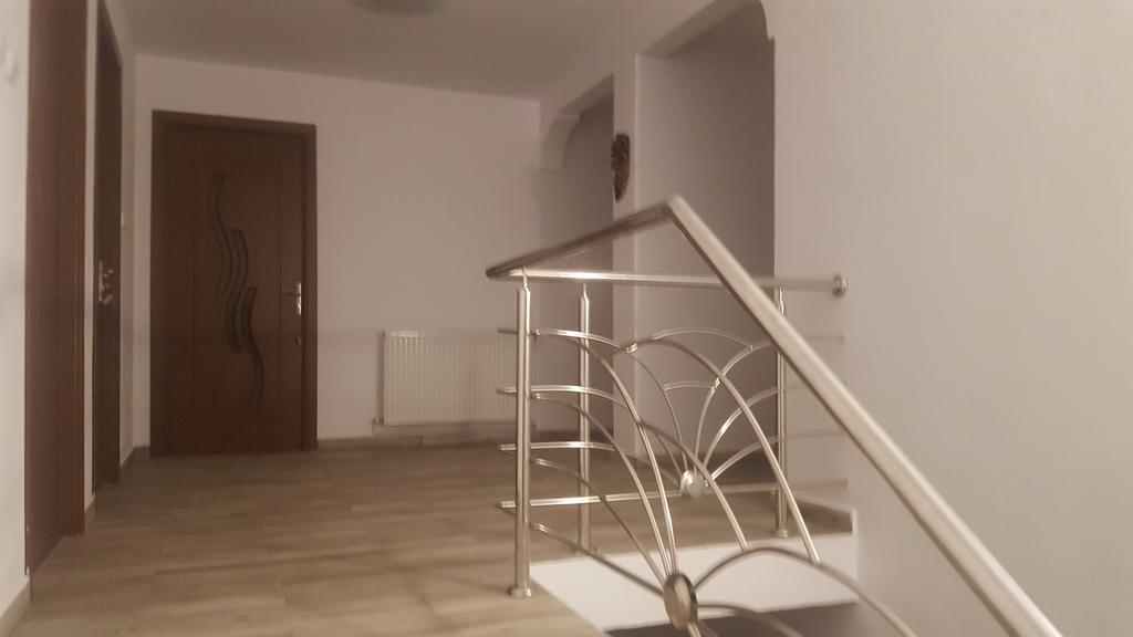 Vila Alex Otel Călimăneşti Dış mekan fotoğraf