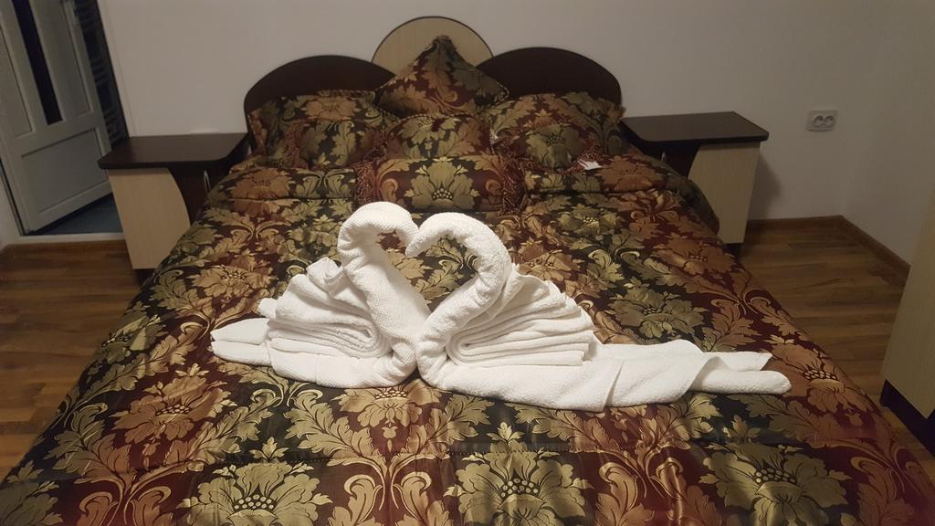 Vila Alex Otel Călimăneşti Dış mekan fotoğraf