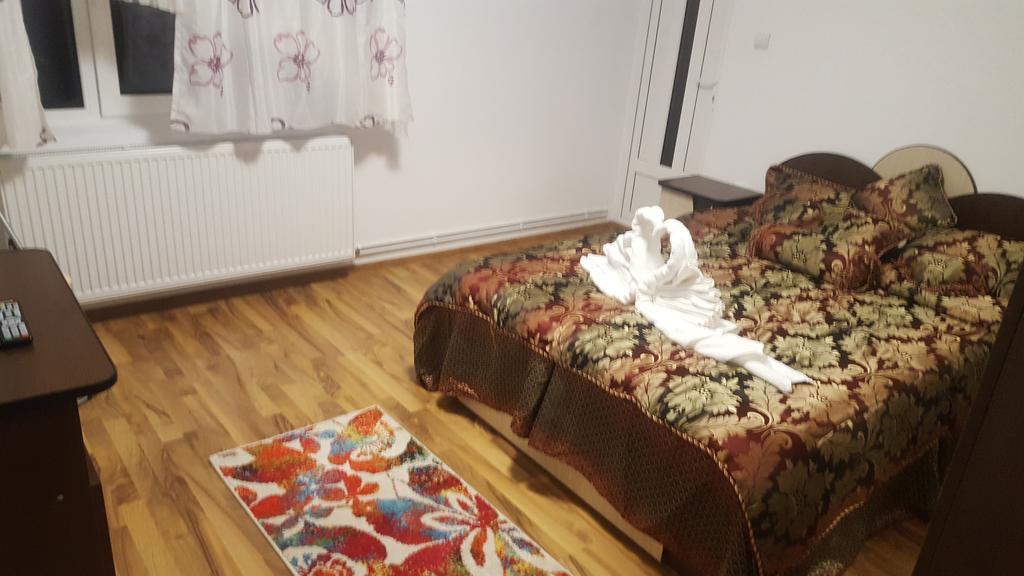 Vila Alex Otel Călimăneşti Dış mekan fotoğraf