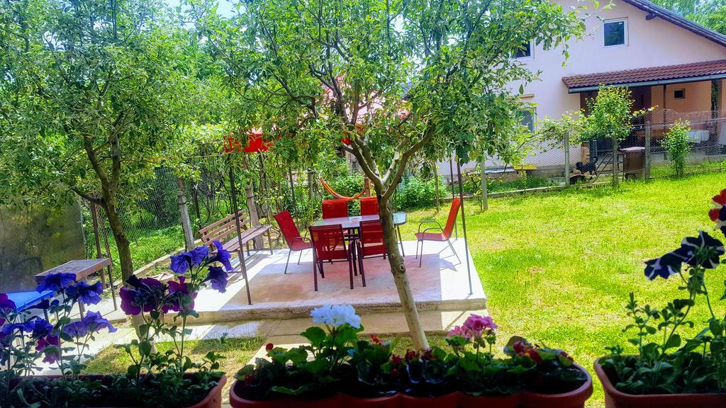 Vila Alex Otel Călimăneşti Dış mekan fotoğraf