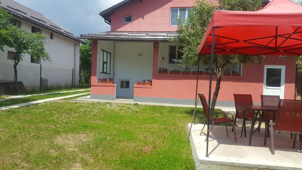 Vila Alex Otel Călimăneşti Dış mekan fotoğraf