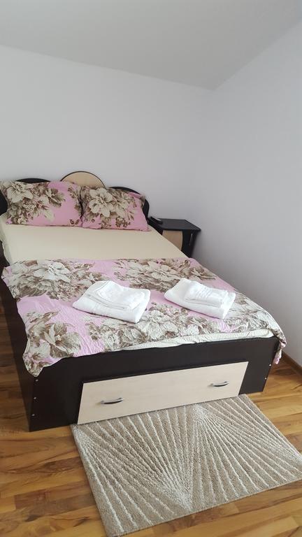 Vila Alex Otel Călimăneşti Dış mekan fotoğraf
