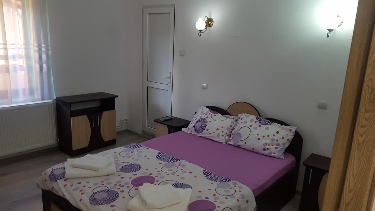 Vila Alex Otel Călimăneşti Dış mekan fotoğraf