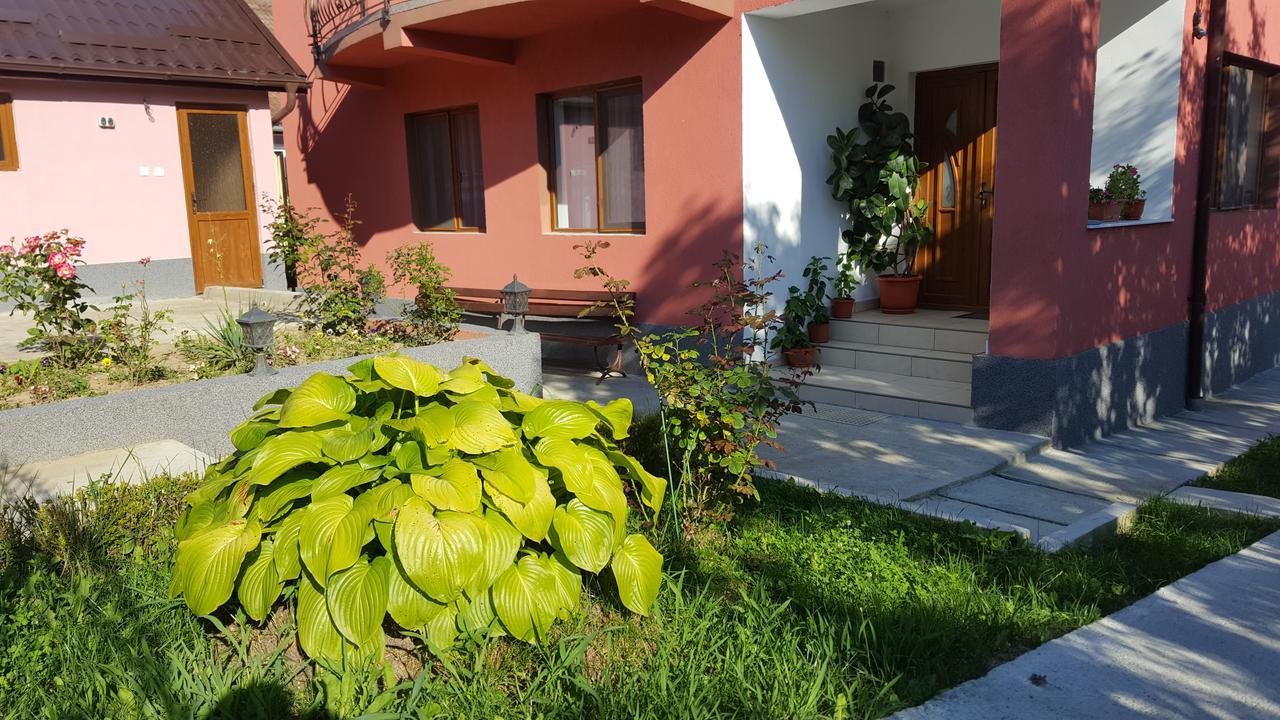 Vila Alex Otel Călimăneşti Dış mekan fotoğraf