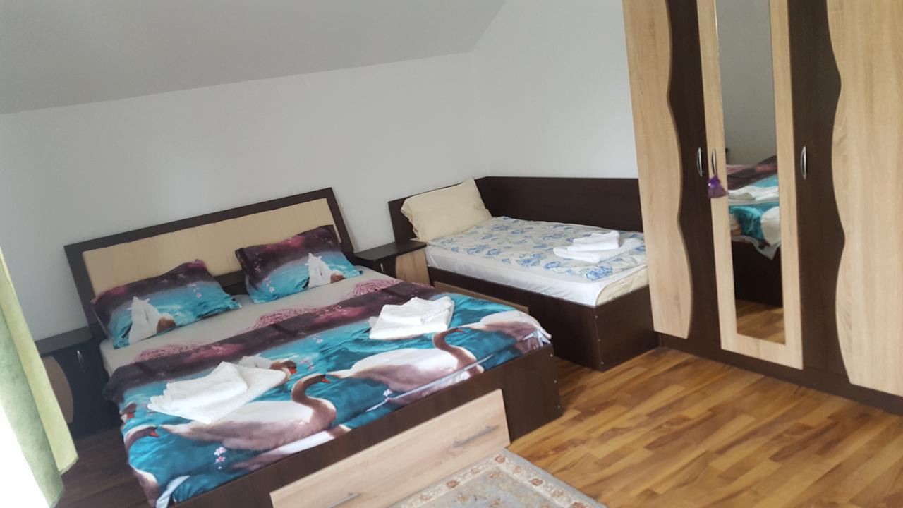 Vila Alex Otel Călimăneşti Dış mekan fotoğraf