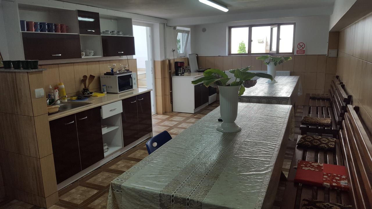 Vila Alex Otel Călimăneşti Dış mekan fotoğraf